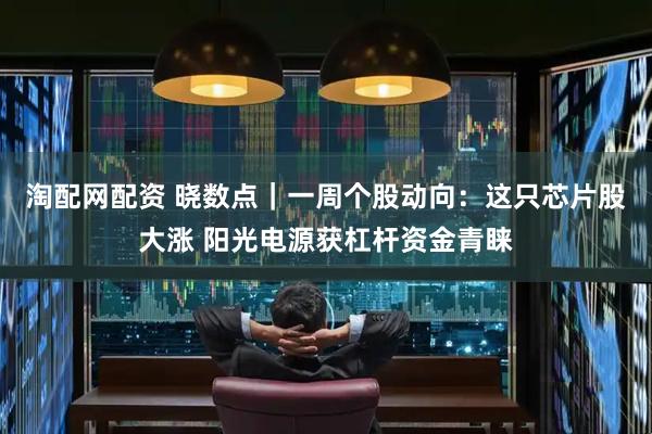 淘配网配资 晓数点｜一周个股动向：这只芯片股大涨 阳光电源获杠杆资金青睐