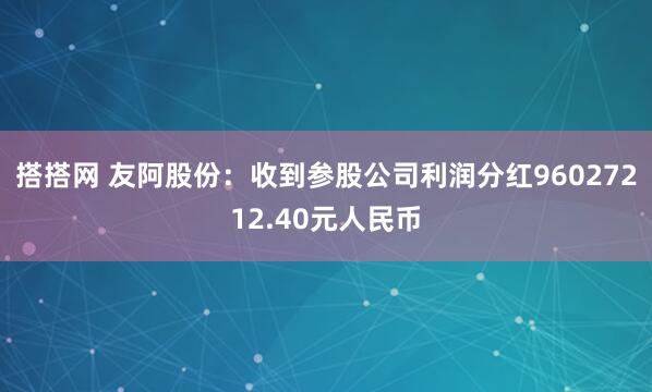 搭搭网 友阿股份：收到参股公司利润分红96027212.40元人民币
