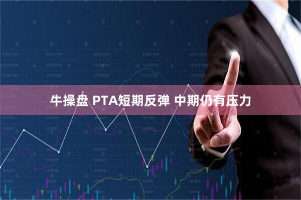 牛操盘 PTA短期反弹 中期仍有压力
