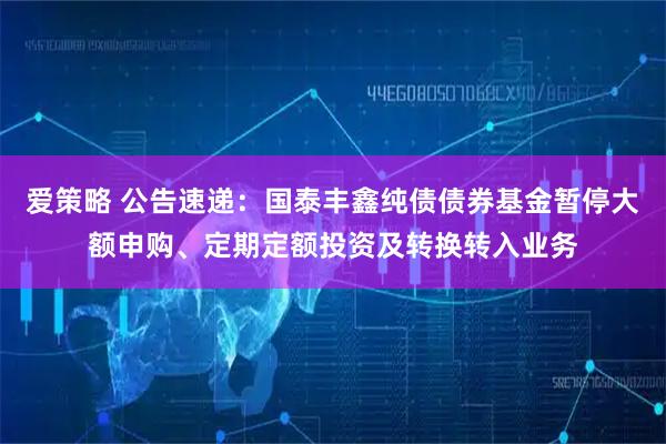 爱策略 公告速递：国泰丰鑫纯债债券基金暂停大额申购、定期定额投资及转换转入业务